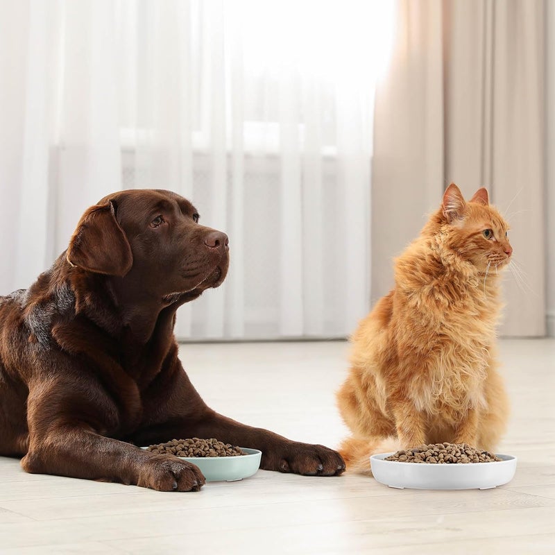 Nitial 2 Pcs Cat Slow Feeder Bowl Fish Pool Design Feeder Dish Fun Interactive Cat Food Bowl Healthy Eating Diet Bowls for Pet Puppy Dogs Dishwasher Safe(White, Green) - Image 5